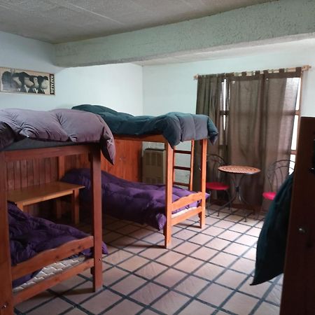 Hostel La Casa De Tounens Puerto Madryn Værelse billede